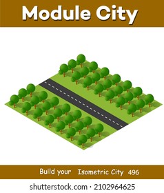 Isometric 3D illustration view from above to the Forest quarter of the highway of streets urban landscape