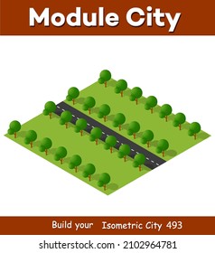 Isometric 3D illustration view from above to the Forest quarter of the highway of streets urban landscape