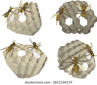 Isometric 3D model illustration of yellow wasps on a hexagonal paper wasp nest shown from four perspective angles for biology and nature education