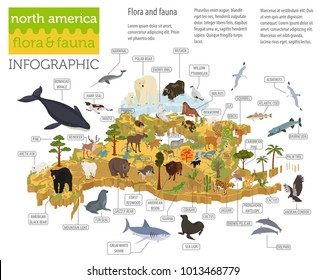 Isometric 3d North America flora and fauna map elements. Animals, birds and sea life. Build your own geography infographics collection. Vector illustration