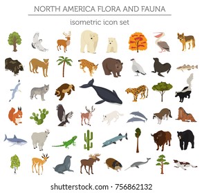 Isometric 3d North America flora and fauna elements. Animals, birds and sea life. Build your own geography infographics collection. Vector illustration