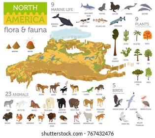 Isometric 3d North America flora and fauna map elements. Animals, birds and sea life. Build your own geography infographics collection. Vector illustration