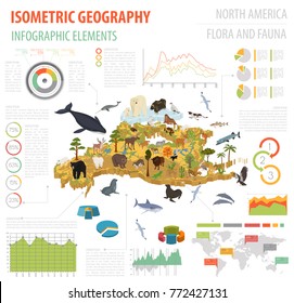 Isometric 3d North America flora and fauna map elements. Animals, birds and sea life. Build your own geography infographics collection. Vector illustration