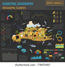 Isometric 3d North America flora and fauna map elements. Animals, birds and sea life. Build your own geography infographics collection. Vector illustration