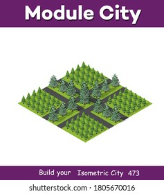 Isometric 3d park with a green tree of summer nature forest landscape, outdoor flat city street of isolated objects. Vector illustration natural elements for design and concept scene.