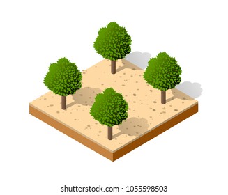Isometric 3D park with trees of a three-dimensional city