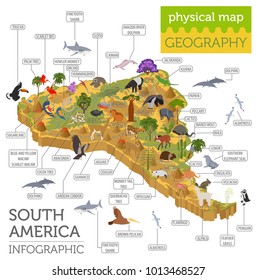 Isometric 3d South America flora and fauna map elements. Animals, birds and sea life. Build your own geography infographics collection. Vector illustration