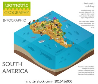 Isometric 3d South America flora and fauna map elements. Animals, birds and sea life. Build your own geography infographics collection. Vector illustration