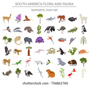 Isometric 3d South America flora and fauna elements. Animals, birds and sea life. Build your own geography infographics collection. Vector illustration