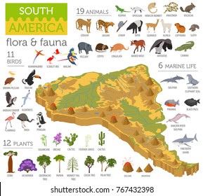 Isometric 3d South America flora and fauna map elements. Animals, birds and sea life. Build your own geography infographics collection. Vector illustration