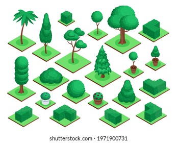 Isometric 3d trees. City park or forest tree plants, bushes, flowers pots. Spruce, palm tree, garden green fences landscape elements vector set. Nature with grass cubes, outdoor ecology