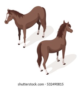 Isometric 3d vector illustration of brown sorrel horses. Back and front view. Icon for web. Isolated on white background.