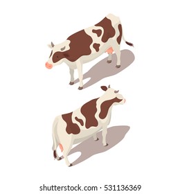 Isometric 3d Vector Illustration Of Cow. Back And Front View.
