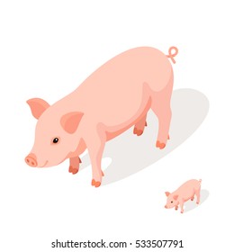 Isometric 3d vector illustration of pink pig isolated on white background. Icon for web. Back and front view. 