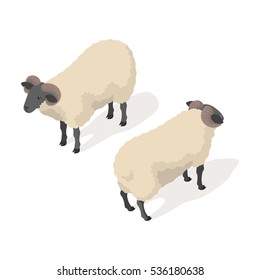 Isometric 3d vector illustration of ram isolated on white background. Icon for web. Back and front view. 