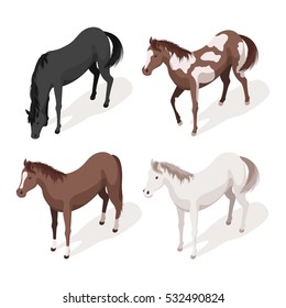 Isometric 3d vector illustration set of horses. Icon for web. Isolated on white background.