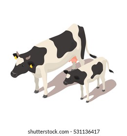 Isometric 3d vector illustration of small and large cow. Icon for web. Isolated on white background.

