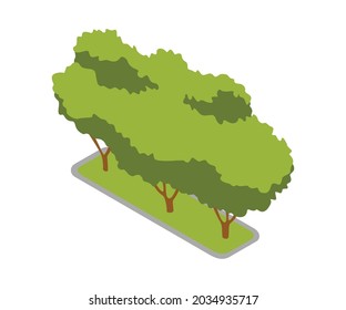Isometric 3d vector park element. Ggarden tree or bush. Green environment landscape design illustration. Isolated icon of nature element