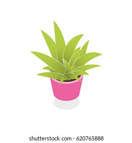 Isometric 3d Vector Plant For Room Set. Isometric World Interior.