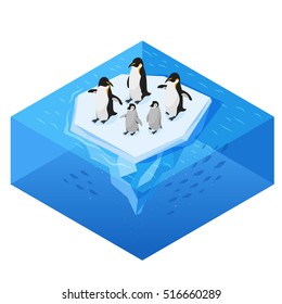 Isometric 3d vector realistic style illustration of penguins on the glacier in the open sea. Isolated on white background. 
