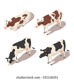 Isometric 3d vector set of cows. Icon for web. Isolated on white background.

