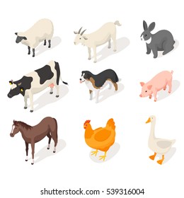 Isometric 3d Vector Set Of Farm Animals. Front View. Icon For Web. Isolated On White Background.