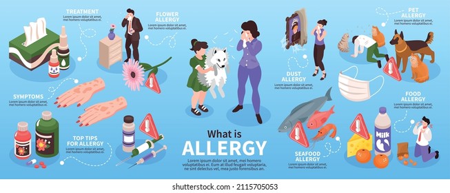 Isometric allergy infographics with isolated icons of allergens with human characters and editable text captions attached vector illustration