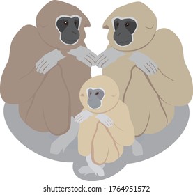 Isometric animals in 3D design illustration. Zoo vector monkey family