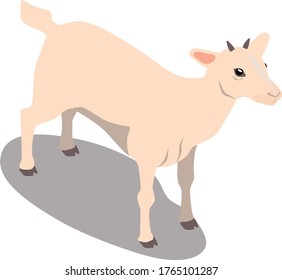 Isometric animals in 3D design illustration. Zoo vector goat
