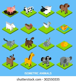 Isometric animals set with 3d hamster pig sheep and rabbit isometric vector illustration