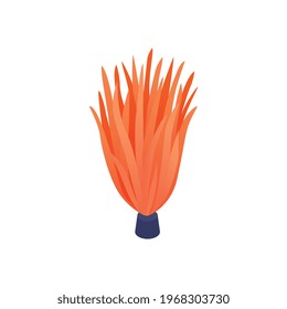Composición isométrica del acuario con imagen aislada de la alga naranja en la ilustración vectorial de fondo en blanco