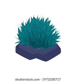 Isometric aquarium composition with isolated image of sea weed in pot on blank background vector illustration