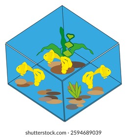 Isometric aquarium with goldfish, plants, and pebbles. EPS 10.