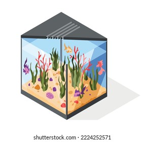 Acuario isométrico de estilo minimalista con peces dorados y conjunto de elementos submarinos, corales. Caja acrílica transparente para exhibición. Ilustración de la pantalla de vidrio sobre fondo blanco