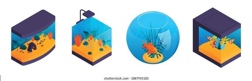 Isometric aquaruim set with four isolated aquariums of different shape with fishes and aquascaping elements seaweed vector illustration