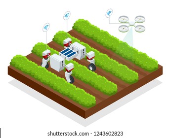 Isometric automatic controlled robots harvest berries. Smart robotic in agriculture, automation robot farmers must be programmed to work.