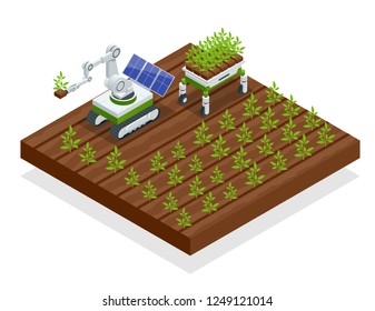 Isometric automation smart farming on the field. Artificial intelligence robots in agricultural. Organic food, agriculture concept.