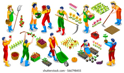 Isometric barley farmer people 3D game icon set collection vector illustration. Farm field isometric farmland farmer life scene seed plant agriculture gardening tool