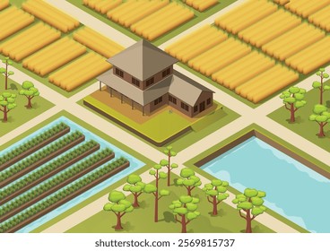 Isometric beautiful natural rice field view. Detailed vector illustration