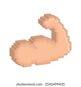 isometric biceps icon 8 bit, pixel art sport symbol icon for game logo.