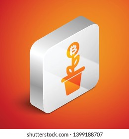 Isometric Bitcoin plant in the pot icon isolated on orange background. Business investment growth concept. Blockchain technology, cryptocurrency mining. Silver square button. Vector Illustration