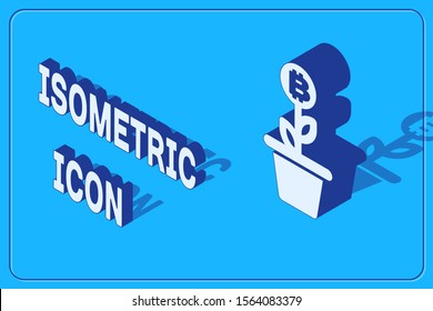 Isometric Bitcoin plant in the pot icon isolated on blue background. Business investment growth concept. Blockchain technology, cryptocurrency mining.  Vector Illustration