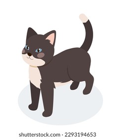 Isometric black cat. Cute kitten standing. Black and white pet and domestic animal with shadow. Three dimensional character. Poster or banner for website. Cartoon vector illustration