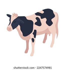 Isometric black and white farm cow vector illustration