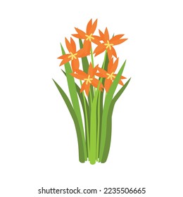 Isometric botanical garden greenhouse composition with isolated floral image on blank background vector illustration