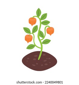 Isometric botanical garden greenhouse composition with isolated floral image on blank background vector illustration