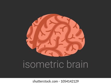 Isometric Brain vector illustration flat style.