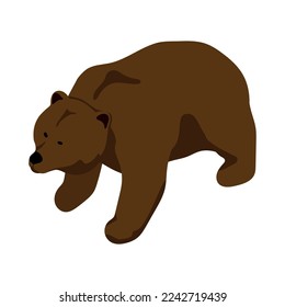 Isometric brown bear on white background 3d vector illustration