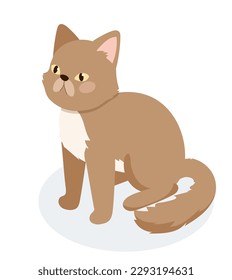 Isometric brown cat. Charming kitten sitting. Front view at domestic animal and pet. Adorable and cute character. Template, layout and mock up. Cartoon vector illustration