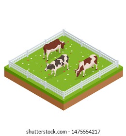 Isometric brown and white cows in a grassy field on a bright and sunny day. Dairy cattle set. Cows collection.